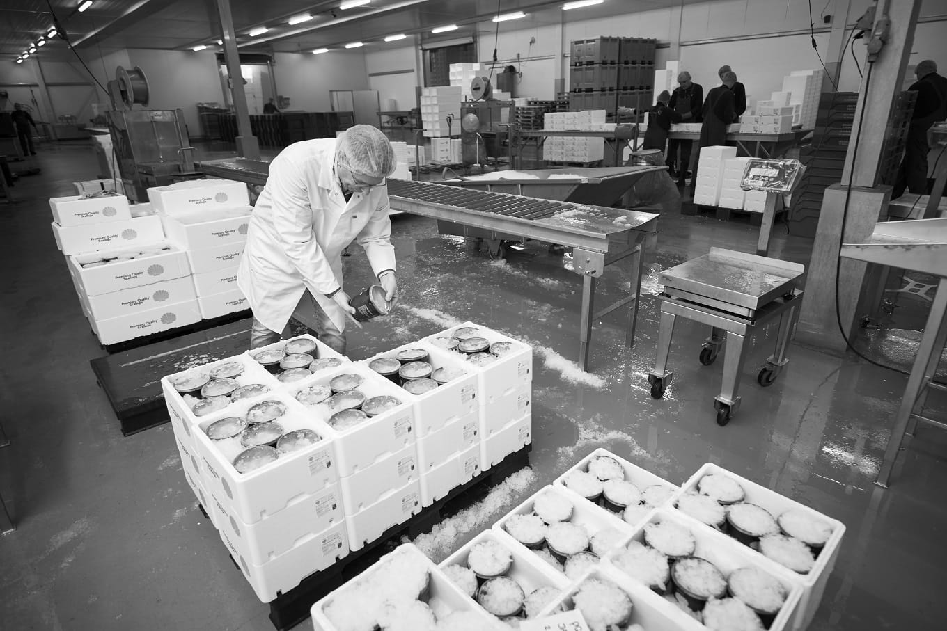 Etiketteren – Voedselinformatie