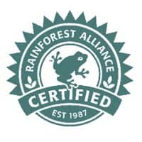 logo-rainforest