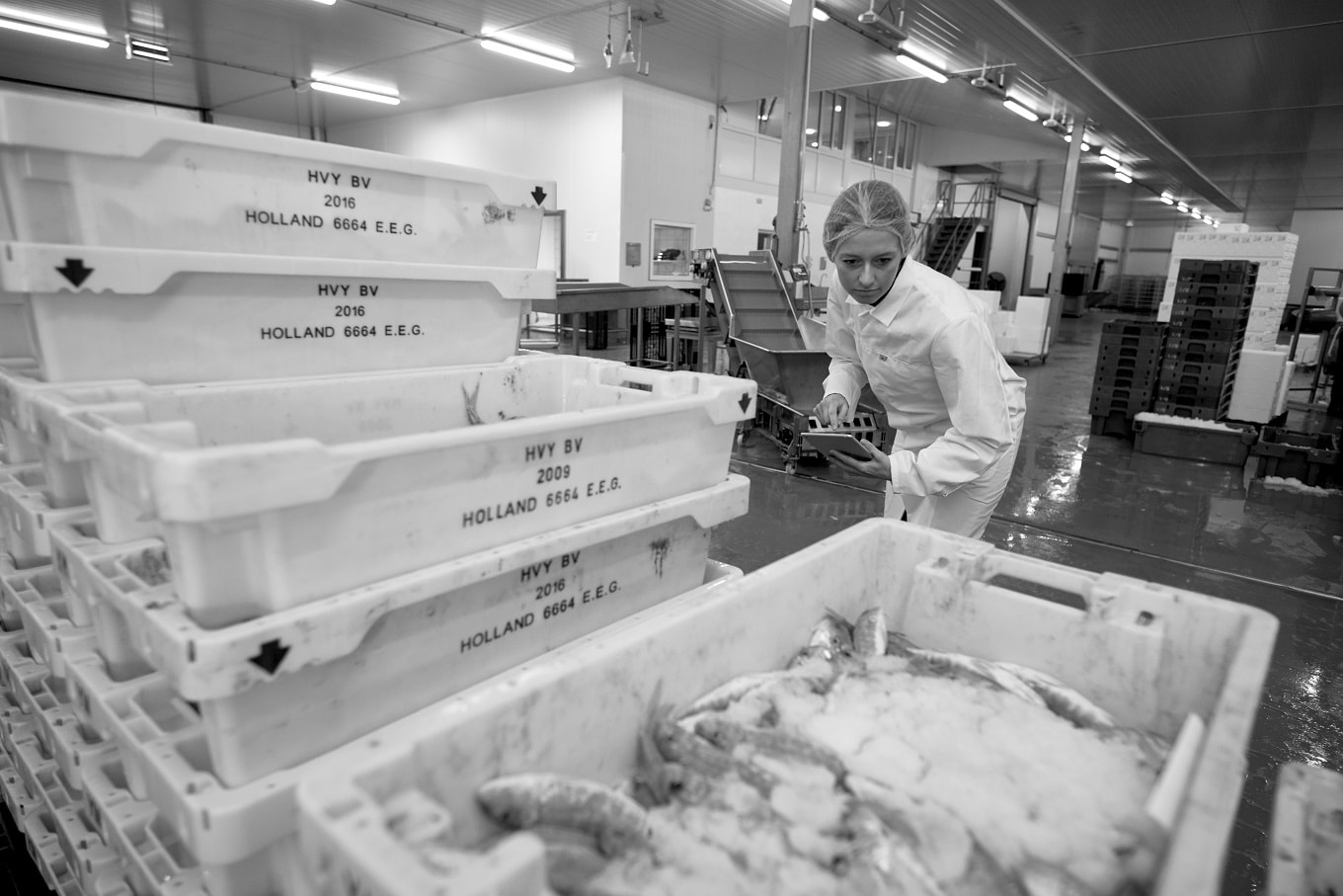 BRC Global Standard for Storage and Distribution