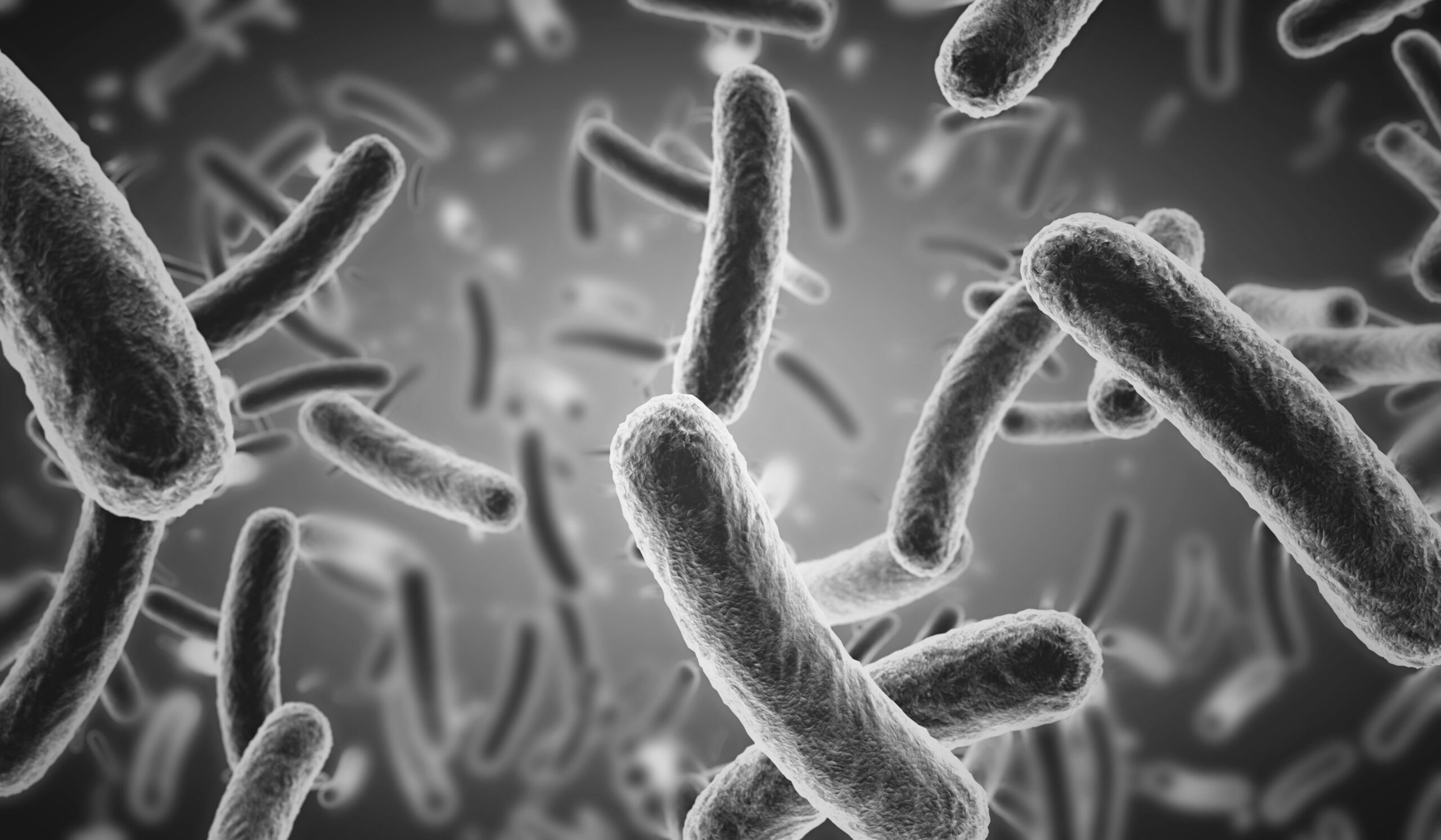 Listeria monocytogenes en informatieblad 85